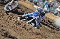 _ROB6958 (Copy)